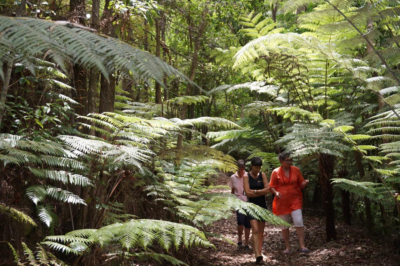 Villa Warblers Retreat Auckland Esterno foto