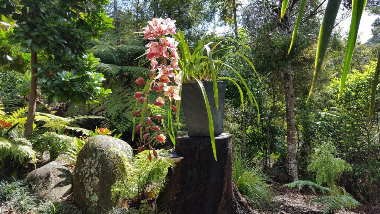 Villa Warblers Retreat Auckland Esterno foto